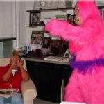 Pink Gorilla